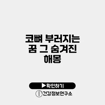 코뼈 부러지는 꿈 그 숨겨진 해몽