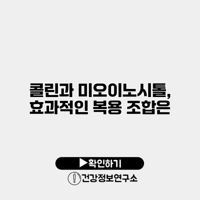 콜린과 미오이노시톨, 효과적인 복용 조합은?