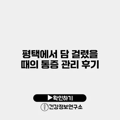 평택에서 담 걸렸을 때의 통증 관리 후기
