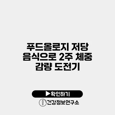 푸드올로지 저당 음식으로 2주 체중 감량 도전기