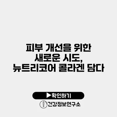 피부 개선을 위한 새로운 시도, 뉴트리코어 콜라겐 담다