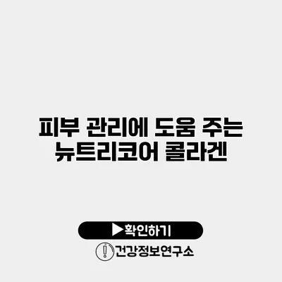 피부 관리에 도움 주는 뉴트리코어 콜라겐