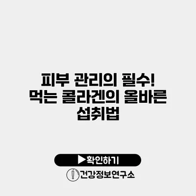 피부 관리의 필수! 먹는 콜라겐의 올바른 섭취법