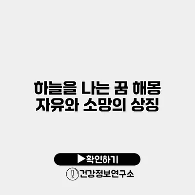 하늘을 나는 꿈 해몽 자유와 소망의 상징