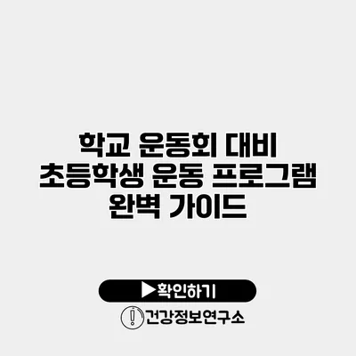 학교 운동회 대비 초등학생 운동 프로그램 완벽 가이드