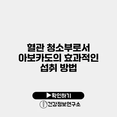 혈관 청소부로서 아보카도의 효과적인 섭취 방법