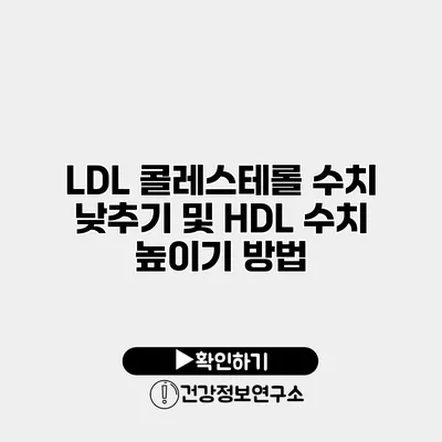 LDL 콜레스테롤 수치 낮추기 및 HDL 수치 높이기 방법
