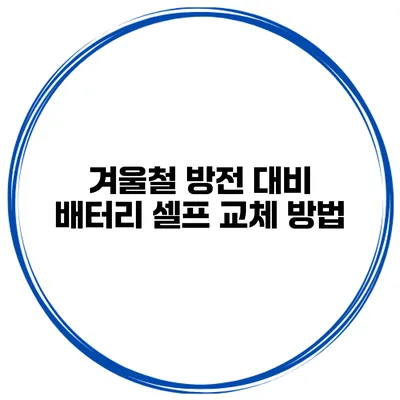 겨울철 방전 대비 배터리 셀프 교체 방법