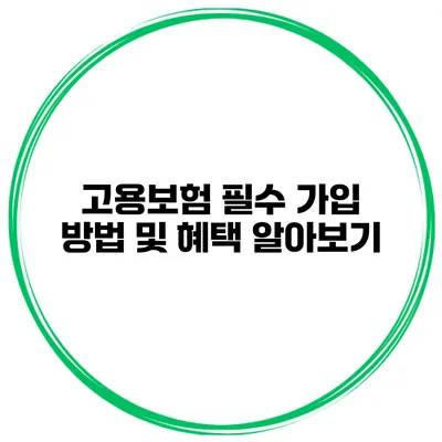 고용보험 필수 가입 방법 및 혜택 알아보기