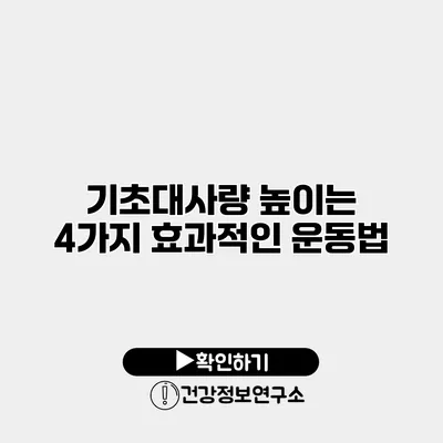 기초대사량 높이는 4가지 효과적인 운동법