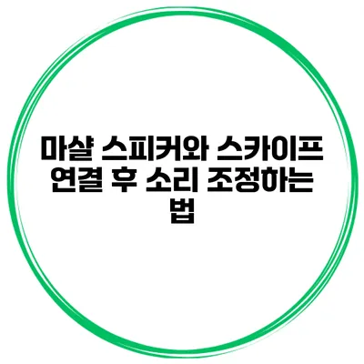 마샬 스피커와 스카이프 연결 후 소리 조정하는 법