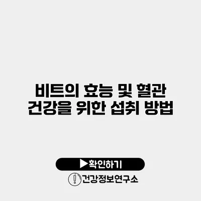 비트의 효능 및 혈관 건강을 위한 섭취 방법