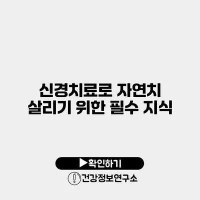 신경치료로 자연치 살리기 위한 필수 지식