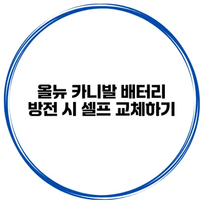 올뉴 카니발 배터리 방전 시 셀프 교체하기