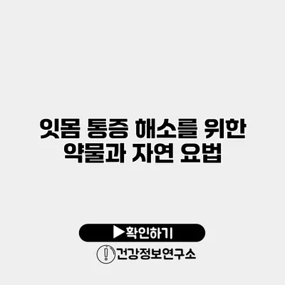 잇몸 통증 해소를 위한 약물과 자연 요법
