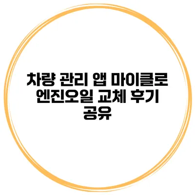 차량 관리 앱 마이클로 엔진오일 교체 후기 공유