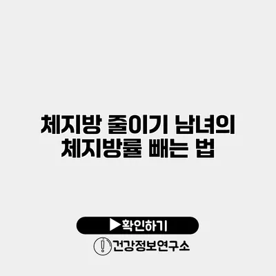 체지방 줄이기 남녀의 체지방률 빼는 법