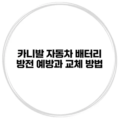 카니발 자동차 배터리 방전 예방과 교체 방법