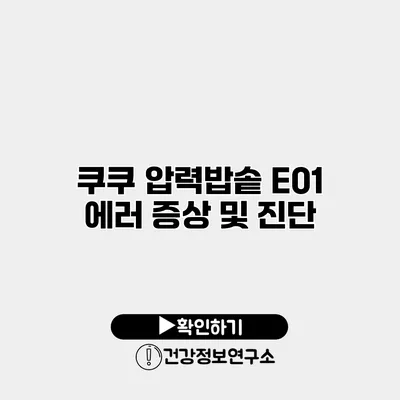 쿠쿠 압력밥솥 E01 에러 증상 및 진단
