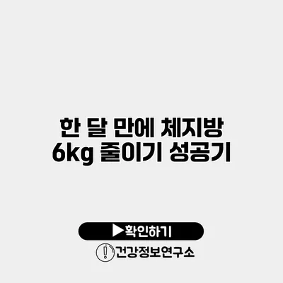 한 달 만에 체지방 6kg 줄이기 성공기