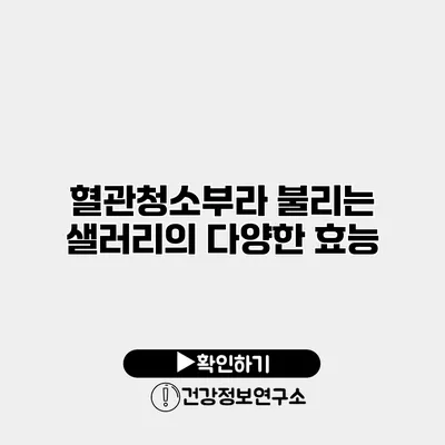 혈관청소부라 불리는 샐러리의 다양한 효능