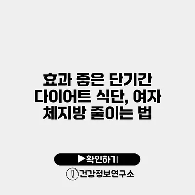효과 좋은 단기간 다이어트 식단, 여자 체지방 줄이는 법